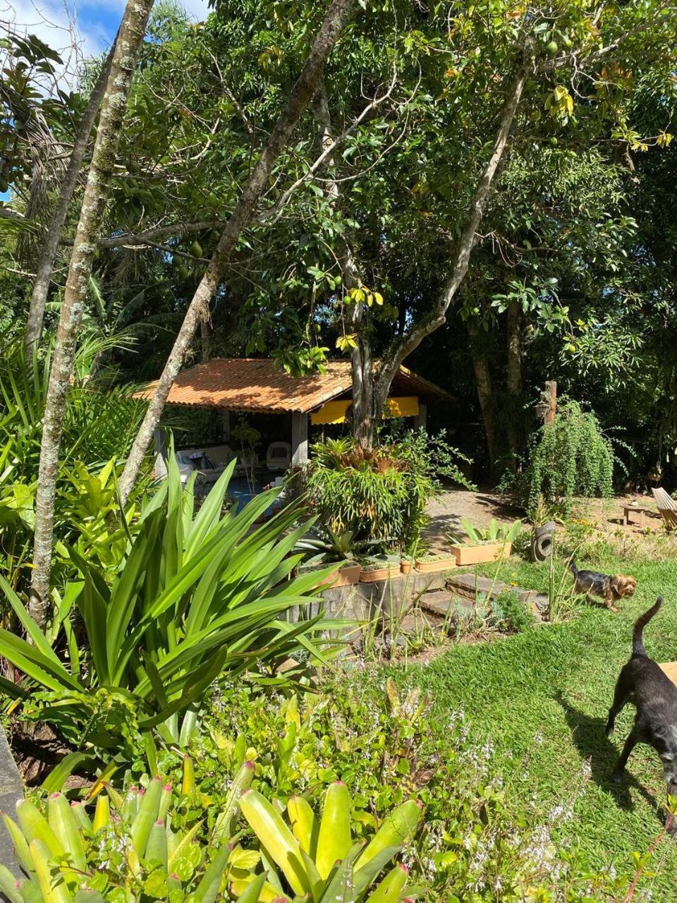 Inn Casa Do Ipe Amarelo Miguel Pereira